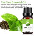 olio di tea tree naturale puro per il trattamento dell&#39;acne